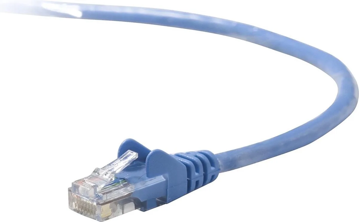 Cat5e Networking Cable 2m Black by Belkin in Blue – product photo