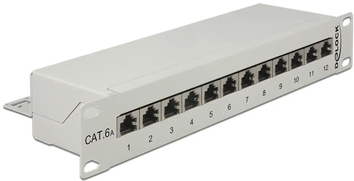Delock 43308 Panneau de brassage 254 mm (10) CAT 6a 1 UH équipé de Delock en Gris – photo produit