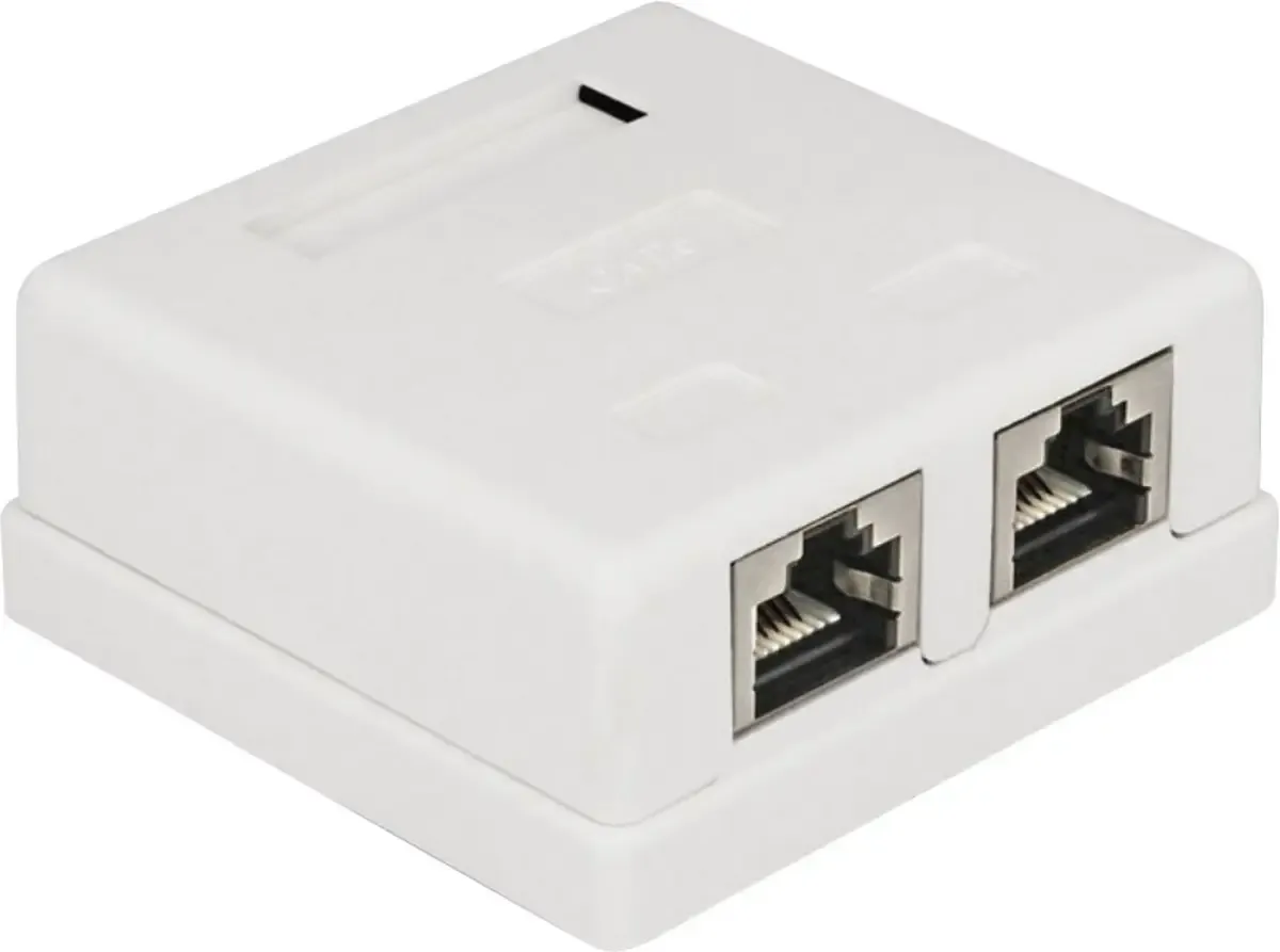 Delock 86269 Netwerkdoos Inbouw (in muur) Inzet met centraalstuk en frame CAT 6 2 poorten van Delock in Wit – productfoto