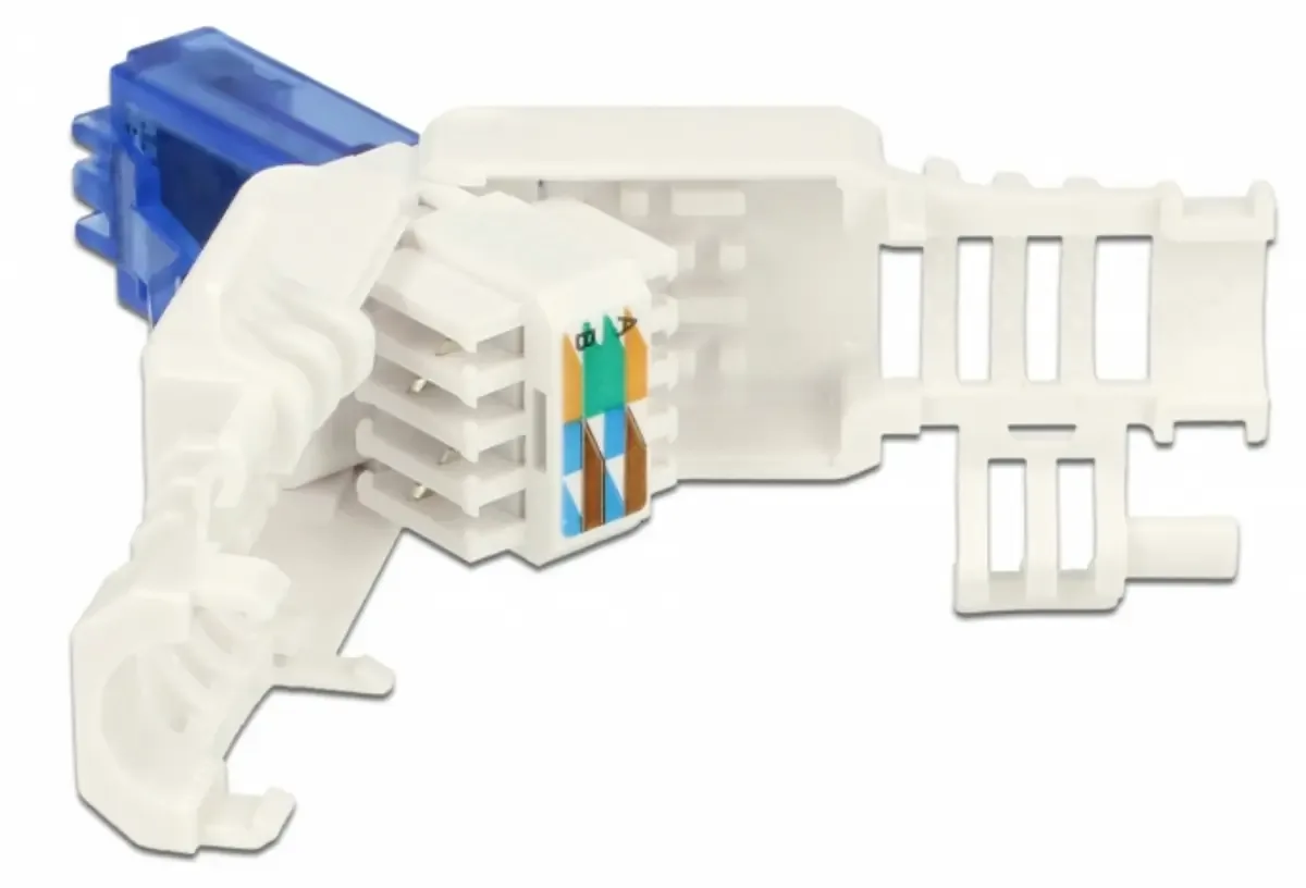 Netzwerkanschluss - RJ-45 (M) - UTP - CAT 6a - (Anzahl pro Packung: 2) fra Delock – produktbillede