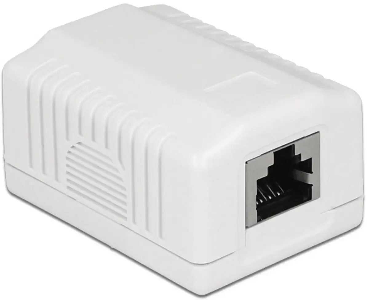 Prise réseau montage apparent (en saillie) CAT 6a de Delock en Blanc – photo produit