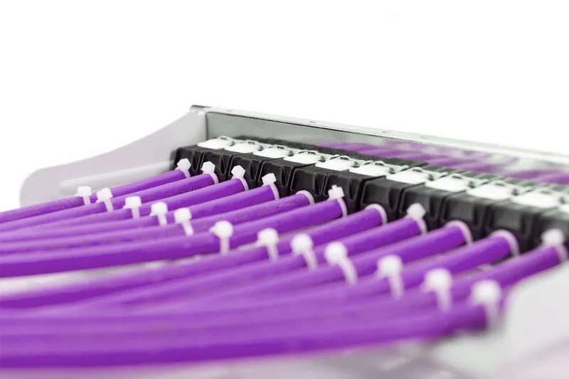 Kabel - 50m - Cat.6 - U/UTP van Digitus in Paars – productfoto