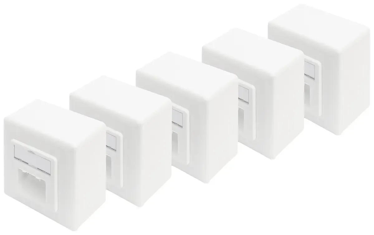 Prise réseau montage apparent (en saillie) CAT 6 2 ports by Digitus in Blanc pur – product photo