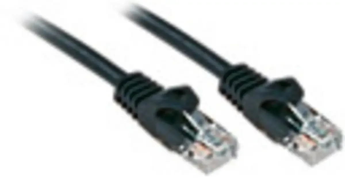 LINDY 48190 RJ45 nätverkskabel, patchkabel CAT 6 U/UTP 0.30 m oskärmad 1 st från Lindy i Svart – produktbild