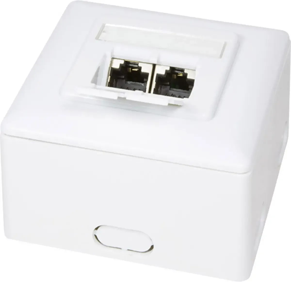 Prise réseau montage apparent (en saillie) CAT 6 2 ports LogiLink NP0039A by LogiLink in White – product photo