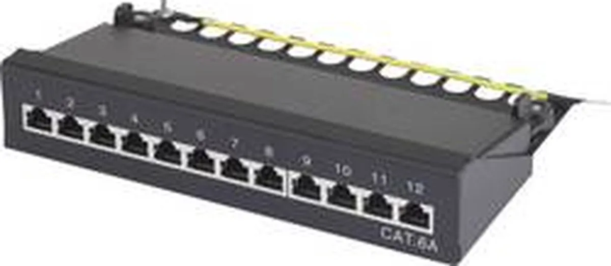 Renkforce 12 poorten Netwerkpatchbox CAT 6A 1 HE Ingericht van Renkforce in Kleurloos – productfoto