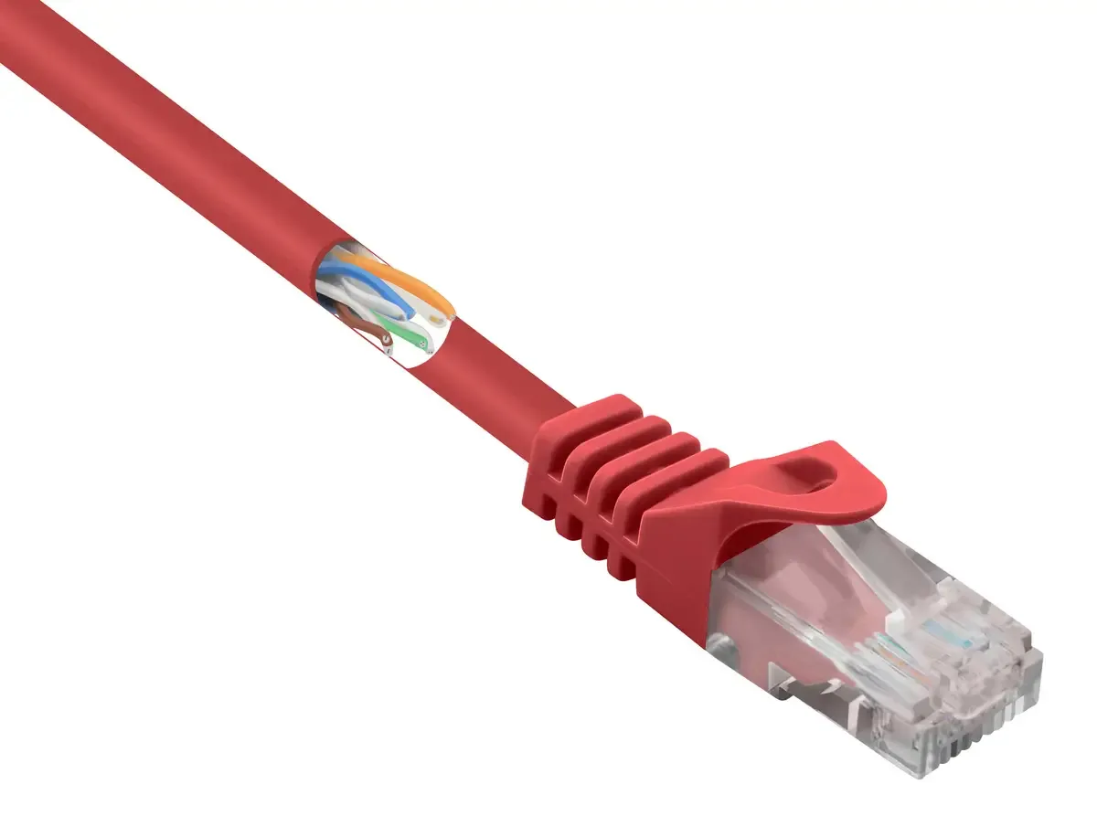 RF-5043992 RJ45 Netwerkkabel, patchkabel CAT 5e U/UTP 0.25 m Snagless 1 stuk(s) van Renkforce in Rood – productfoto